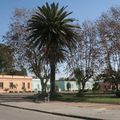 PUNTA DEL ESTE OU UN AUTRE VISAGE DE L'URUGUAY...