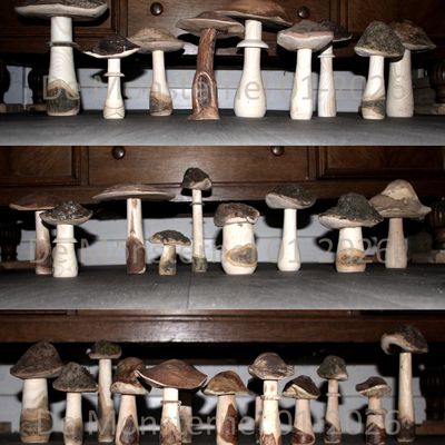 Champignons non comestibles