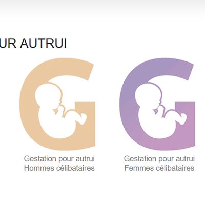 Baby-business : dans les couloirs de la gestation pour autrui