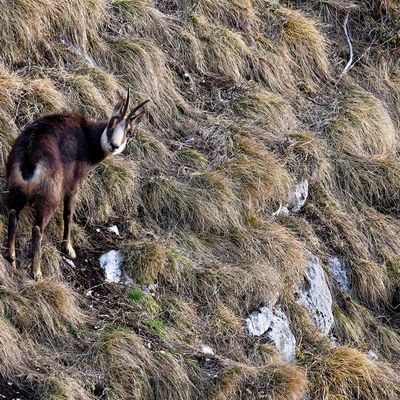 Sélection sortie montagne début 2025