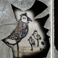 Il y a bien des pigeons à Couze ...
