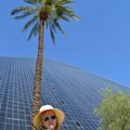 Amazing West American Road Trip - Las Vegas (Jour 2)