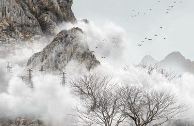 YANG YONGLIANG, «Imagined Landscape» à la Galerie PARIS-B