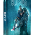 Sortie DVD : BLUEBIRD, polar mélancolique et élégant de Jérémie Guez 