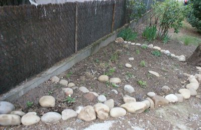 Un massif pour jardin sec.