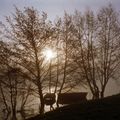 Argentiquités. P 94/02, Sablé-sur-Sarthe dans la Brume en février 1994 (4)