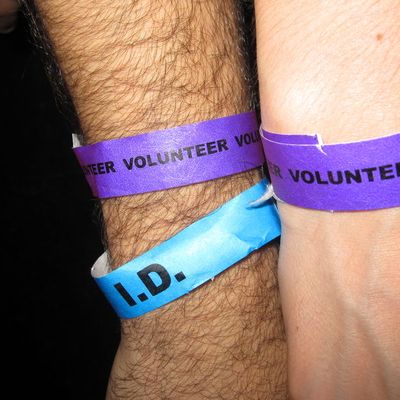 Bluesfest, bénévolat et concerts gratuits !