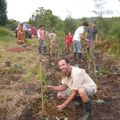 Mode d’emploi de la creation d’une foret comestible en milieu tropicale (deuxieme partie)