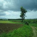 Plaine du Moulin à St Brice sous Forêt (95)