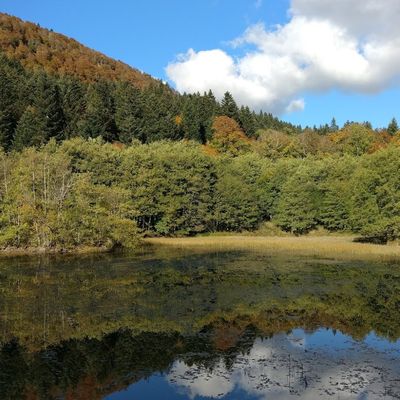 Etang de Vergne Molle