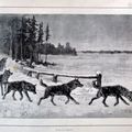 Chasse loup illustration ancienne sp52
