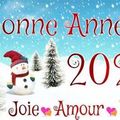 Bonne année