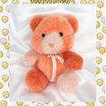 Doudou Peluche Ours Assis Orange Saumon Rose Grelot JLS Rêves de Peluches