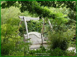 Les jardins de Harlow Carr; YORKSHIRE, Angleterre - 1ère partie/2