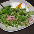 Salade aux lardons et oeuf poché