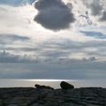 Hide-and-seek in the Burren - Doolin (Irlande)