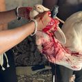 Besoin d'un vrai marabout africain serieux et honnete? optez pour le numero 1 Sikili moussa