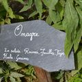 L'onagre