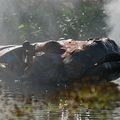 Bestiaire de la place Napoléon a la Roche sur Yon ( Vendée )