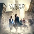 Réveillon avec Les Animaux Fantastiques