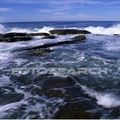 la légende de la mer (Mamido)