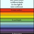 Recommandation de couleurs vs leurres