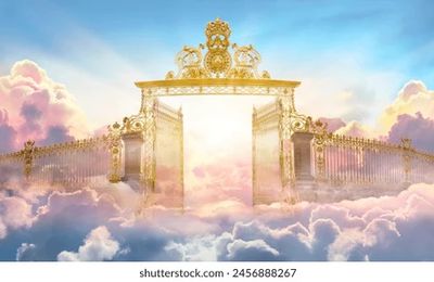 Mais qu'est ce qu'il m'a pris !