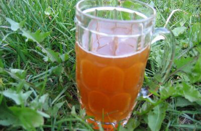 Bière et Ginger Beer