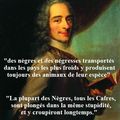 Voltaire et ses écrits racistes, antisémites et négrophobes