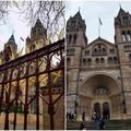 London : Natural History Museum