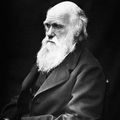 200 ans de Darwin