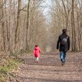 Promenade en forêt