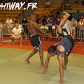 Fightway Cup 2008