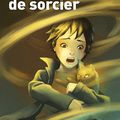 Secrets de sorcier, Tome 3, Incroyable sorcier, écrit par Chantal Cahour