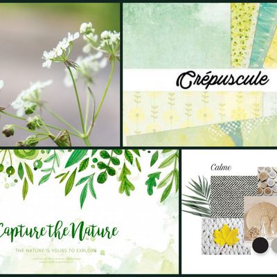 Vos Oeuvres: Pages "Défi n°11"