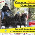 Concours d'attelage à Courdemanges 2008