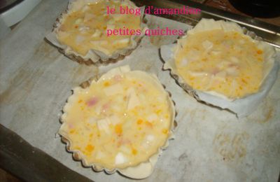 petites tartelettes facon quiche