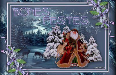 BONES FESTES - JOYEUSES FÊTES