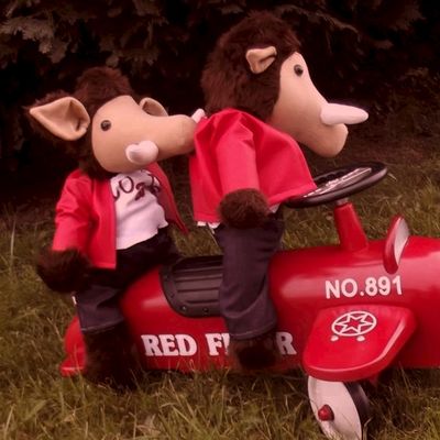 Les fréres Boar, super copain il ont pris le