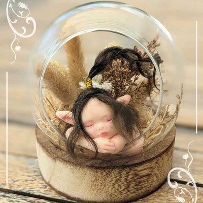 boule de verre et son lutin (30€)