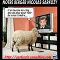 Nicolas Sarkozy, le berger dont la France a besoin