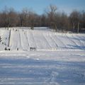 Le Parc Mont-Royal...