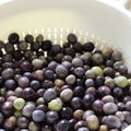 Conserve d'olives