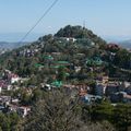 Shimla