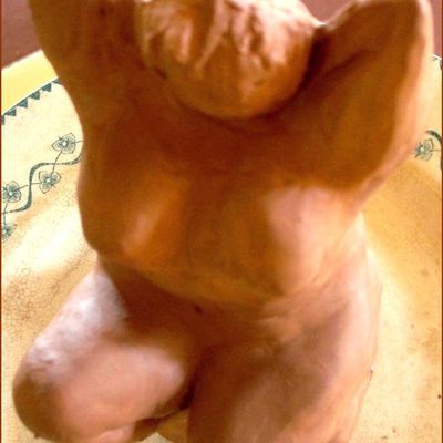 AVEZ-VOUS MONTRE VOS SEINS ?