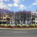 Rond-point à Funchal (Portugal)
