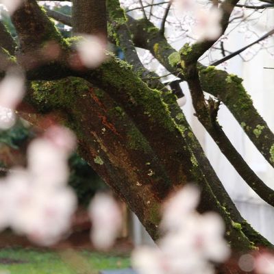 Mots glanés au coeur de la tempête de l'existence