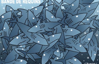 Bande de requins