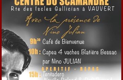 NINO JULIAN AU CENTRE DU SCAMANDRE