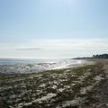 Vacances à l'Ile d'oléron